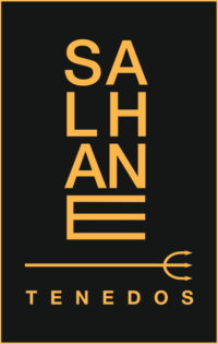 Salhane Logo 2